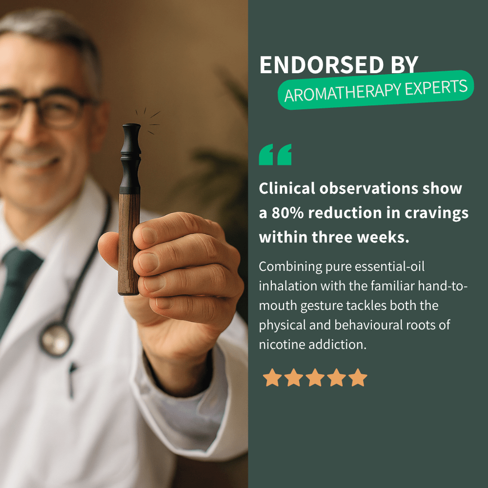 Niko Armani (Journey Pack)